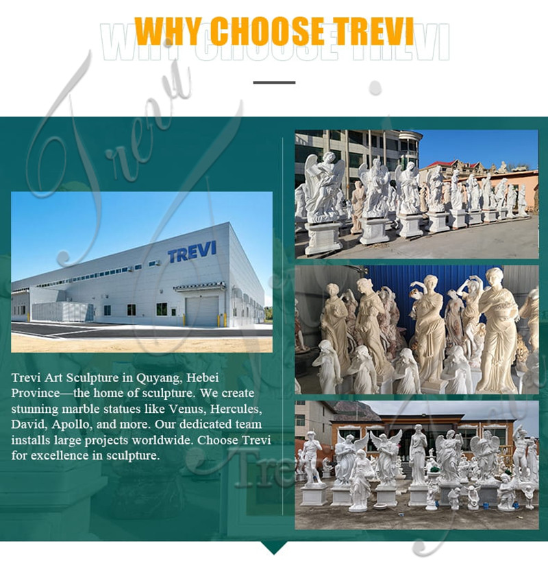 why choose trevi